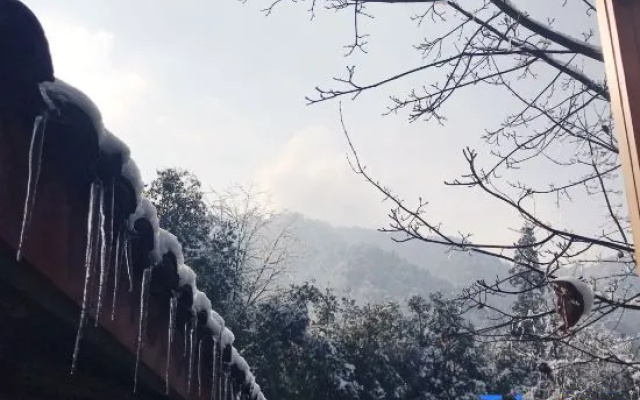 The Micro Hostel Mt. Emei