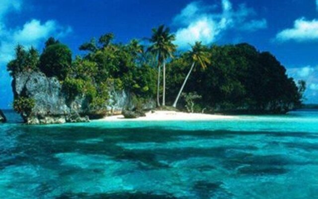 West Plaza Coral Reef
