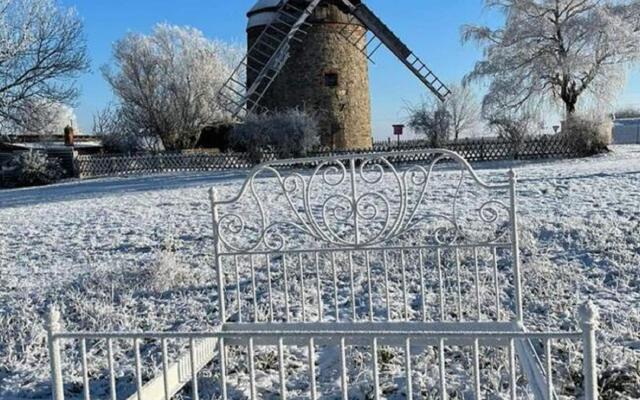 Holiday Home With Terrace in Falkenstein