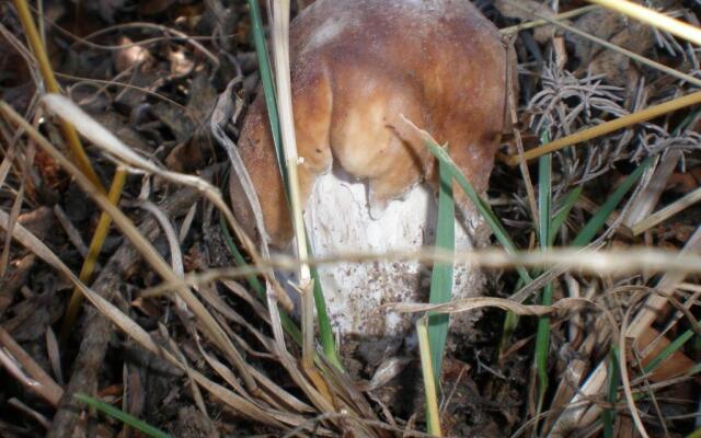 Casa Rural de Miguel