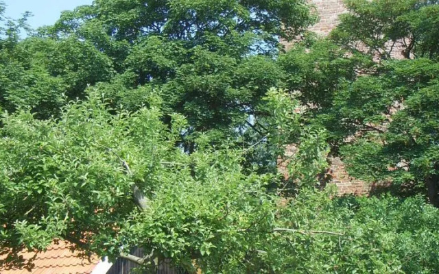 Bed & Breakfast "Gastenverblijf-FINKUM"