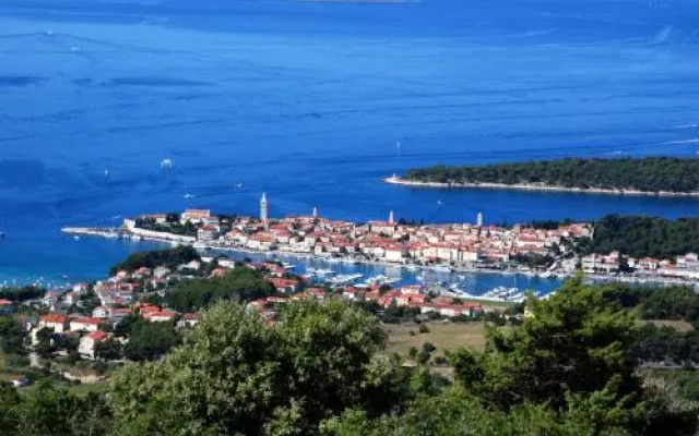 Apartments Villa Olga