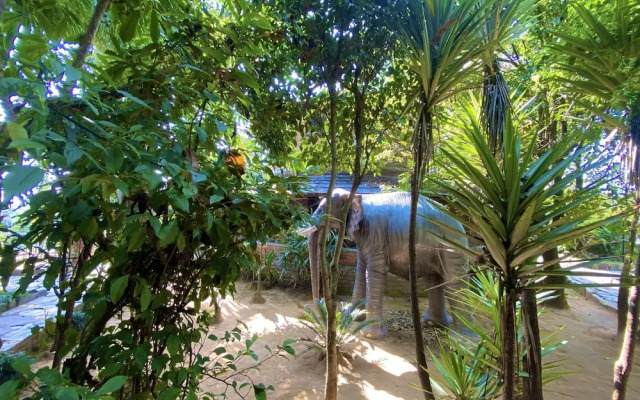 Rock Garden Resort