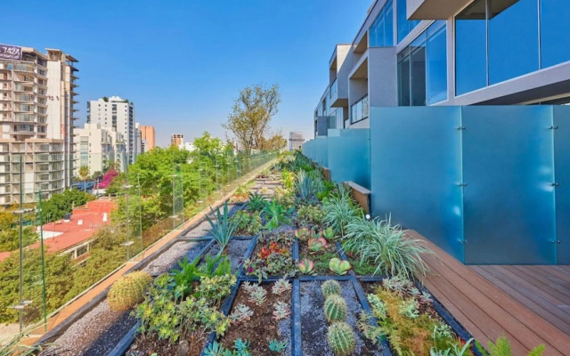 City Express Plus by Marriott Guadalajara Providencia