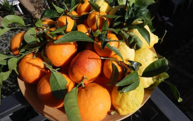 B&B Giardino 21 Marzo