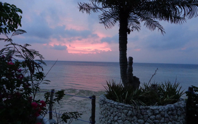 Sea Turtle House