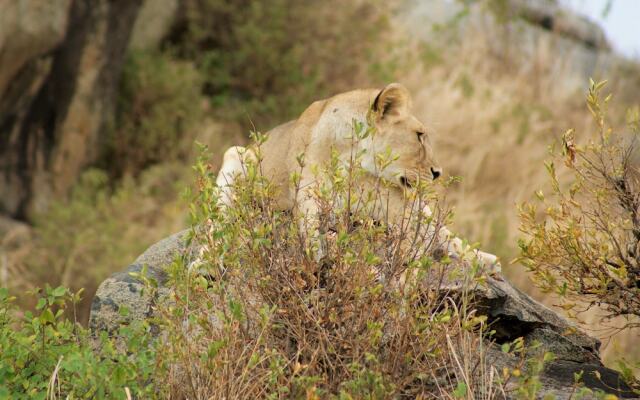 African Sunrise Lodge and Campsite