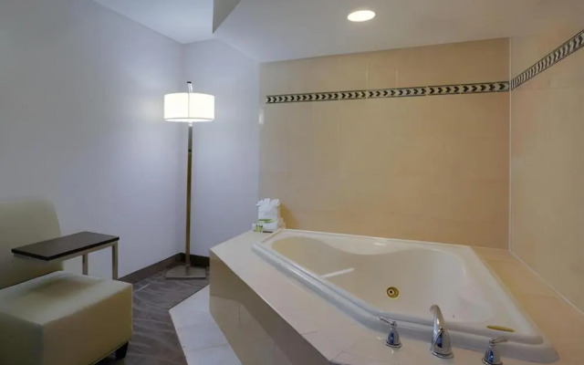 Holiday Inn Express And Suites Meadowlands Area