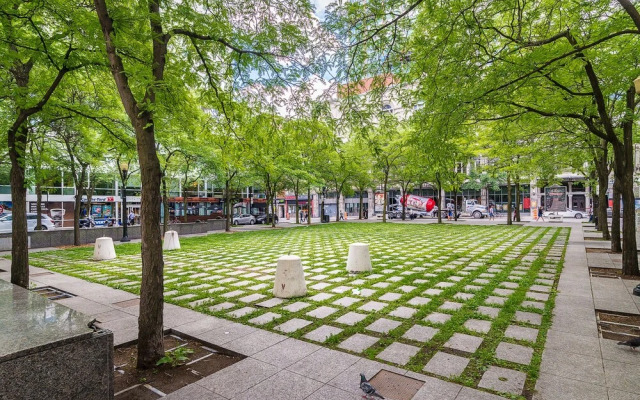 Quartier des Spectacles Appartments