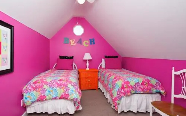 Shellchase by RedAwning