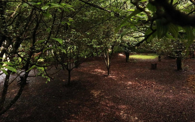 Hotel Bosques del Sol Suites