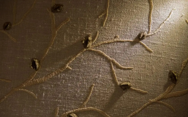 The House at Glenbarr