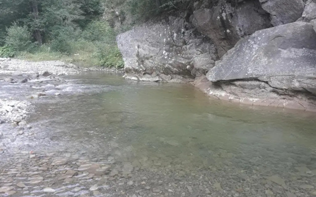 U Anastasii i Sofii bilya richki