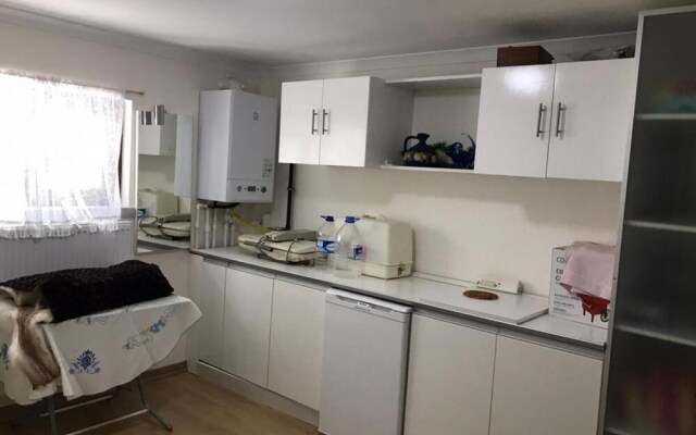 Capacious Villa Surrounded by Nature in Ankara