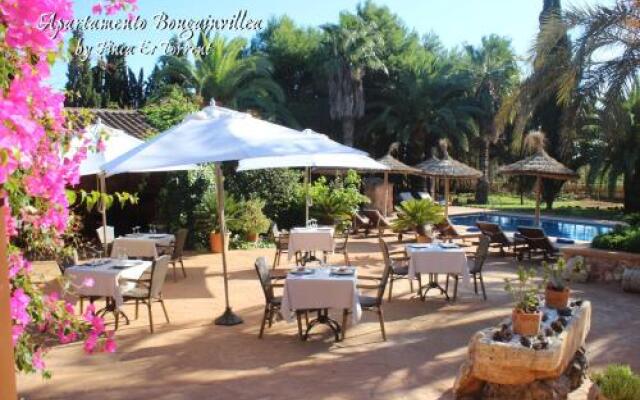 Apartment Bougaivillea by Finca Es Torrent