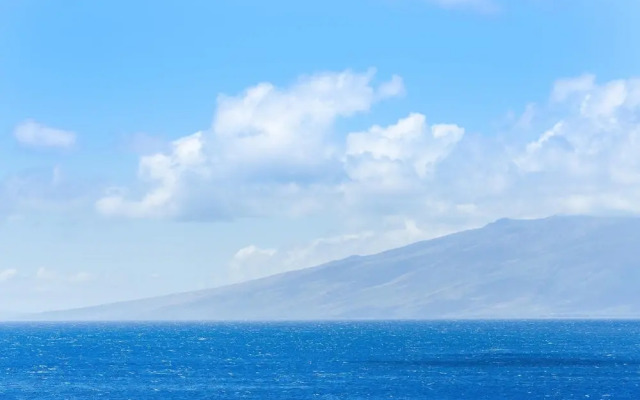 Mahana 1202