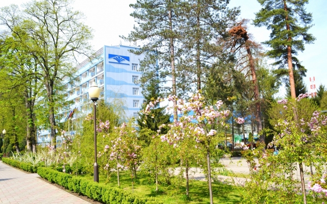 Предгорье Кавказа