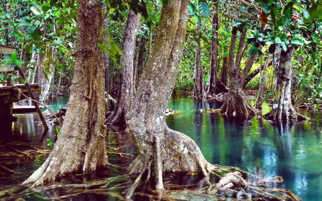 Luxury Retreat by the Sea