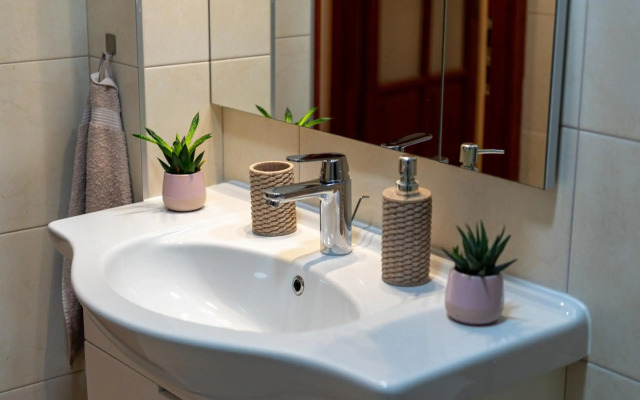 Budapest Deluxe Apartman with free parking place