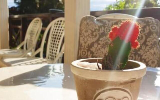 Shelly Beach Lodge