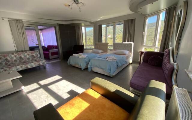 Cosy Park Apartment