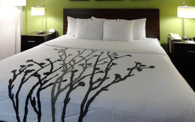 Sleep Inn & Suites Columbus - State University Area