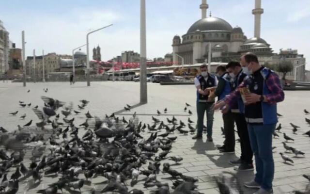 Japan Muji Style(Cozy Suite with Balcony)Taksim R7