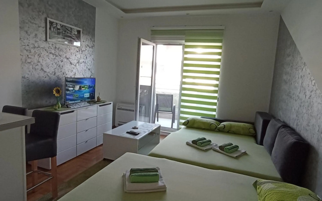 Apartment Leo 11