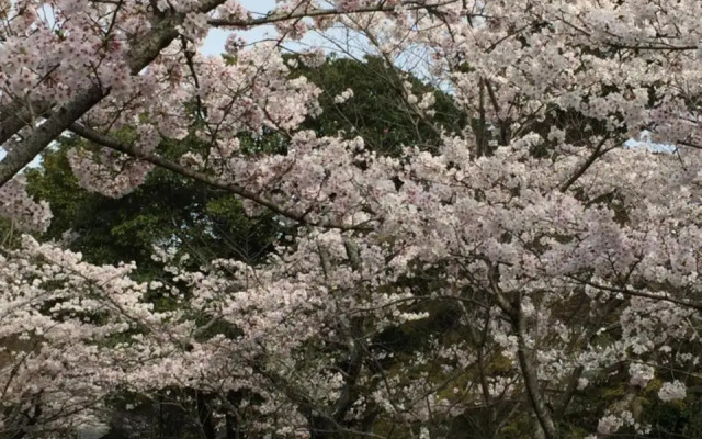 Ryokan Uemura