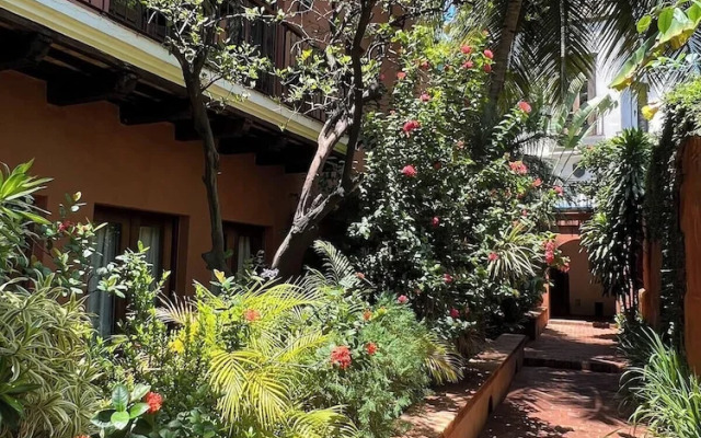 Paseo Colonial - Leo's Favorite