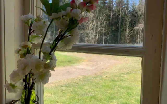 Skagagården