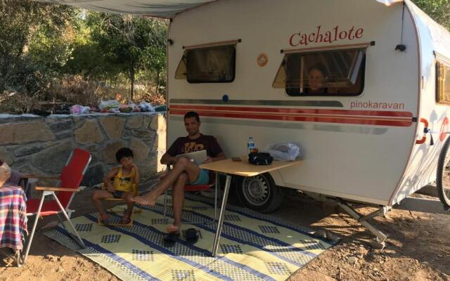 Bodrum Masali Camping