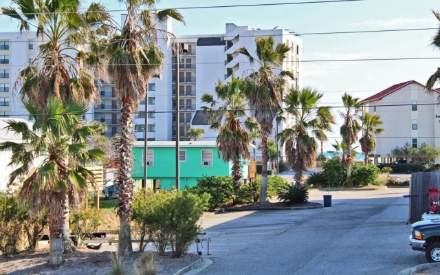 Sea Walley by Youngs Suncoast