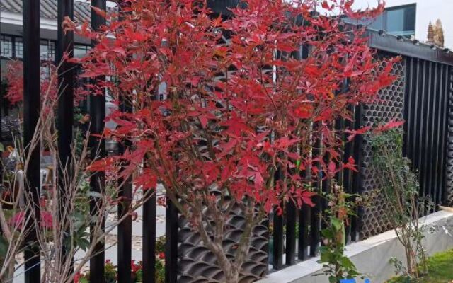 Dali Cangyu Private Inn