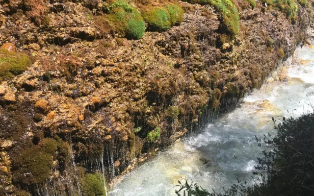 Wachtelhof Apartment