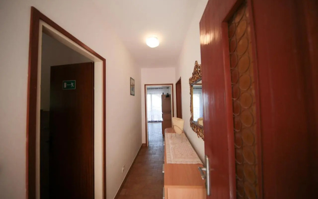 Apartmants Amor