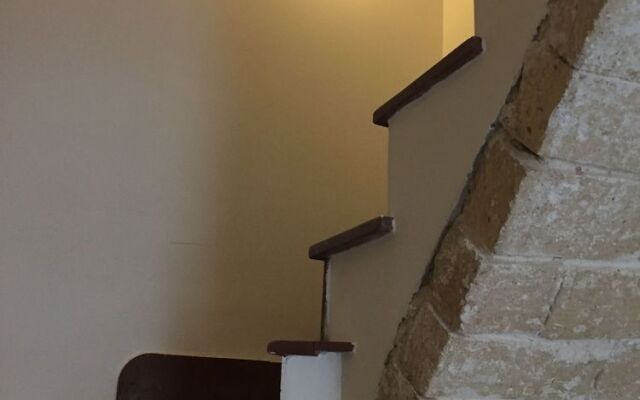 Mario Home Ossi