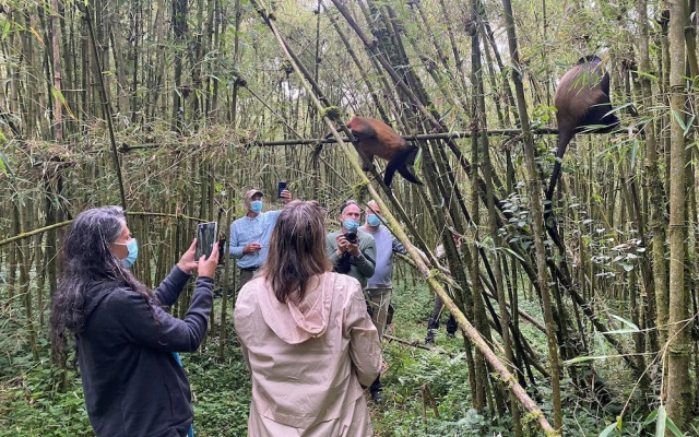 Virunga House