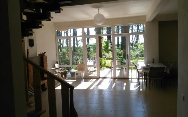 House at Shekvetili Beach