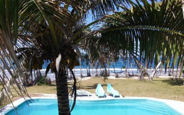 Bluepango Guest House  Hostel