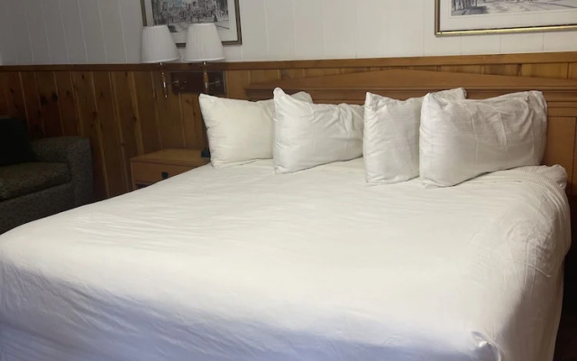 Saddle & Surrey Motel