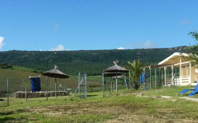 Maryvacas