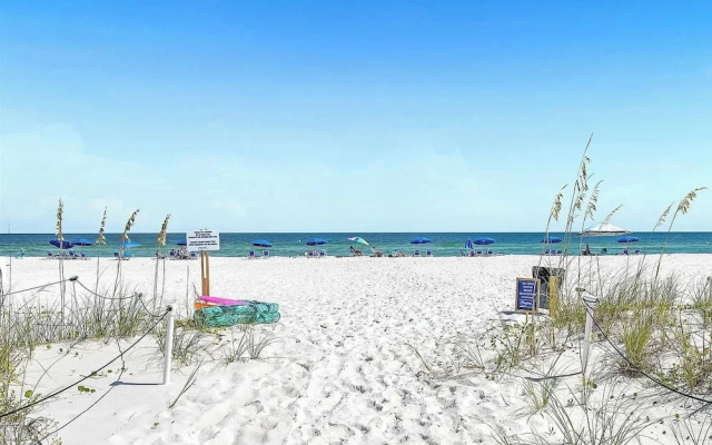 Shipwatch Surf & Yacht Club D502