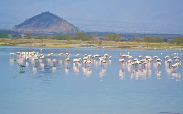 Lake Elementaita Villas