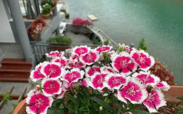 Shenzhen Hua Zhu Xiao Yuan HomestaShenzhen Sha Yu Yong Hua Zhu Xiao Yuan Homesta