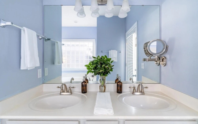 Ocean View - Blue Jay