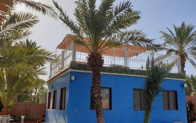 Riad Zagora Palms