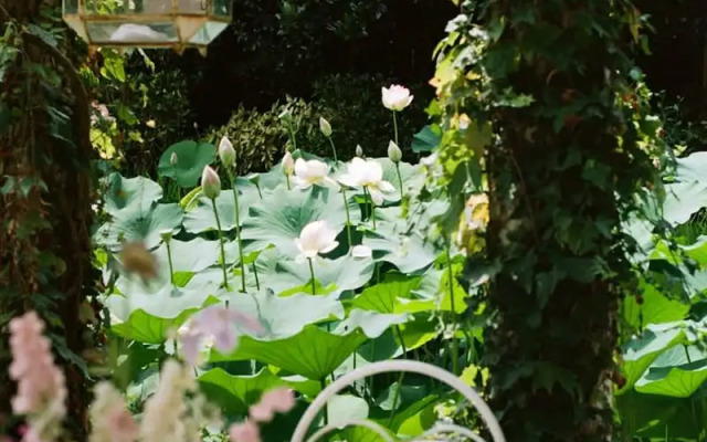 Tranquil 1BR Villa in Revislate