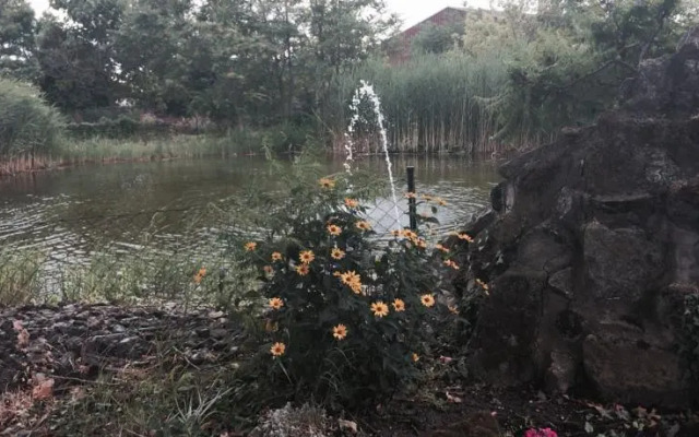 Hotel Mörbischerhof