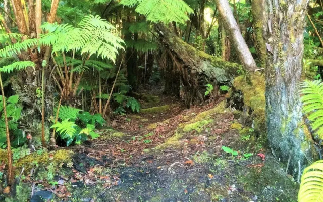 Hale OnaOna by Hawaii Volcano Vacations